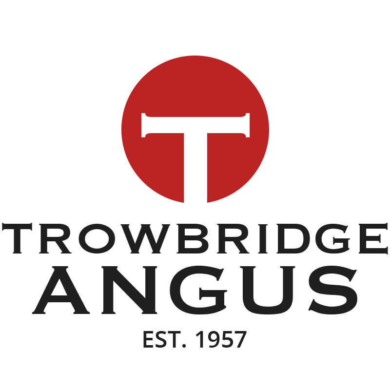 Trowbridge Angus